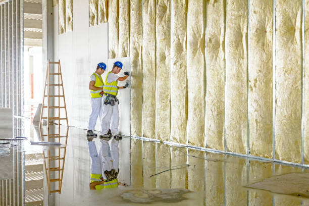 Best Commercial Insulation Services  in Medina, NY